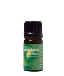 藍膠尤加利精油　<br>Eucalyptus Essential Oil